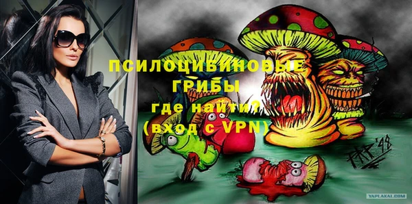 соль ск Осташков