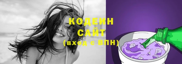 индика Покачи