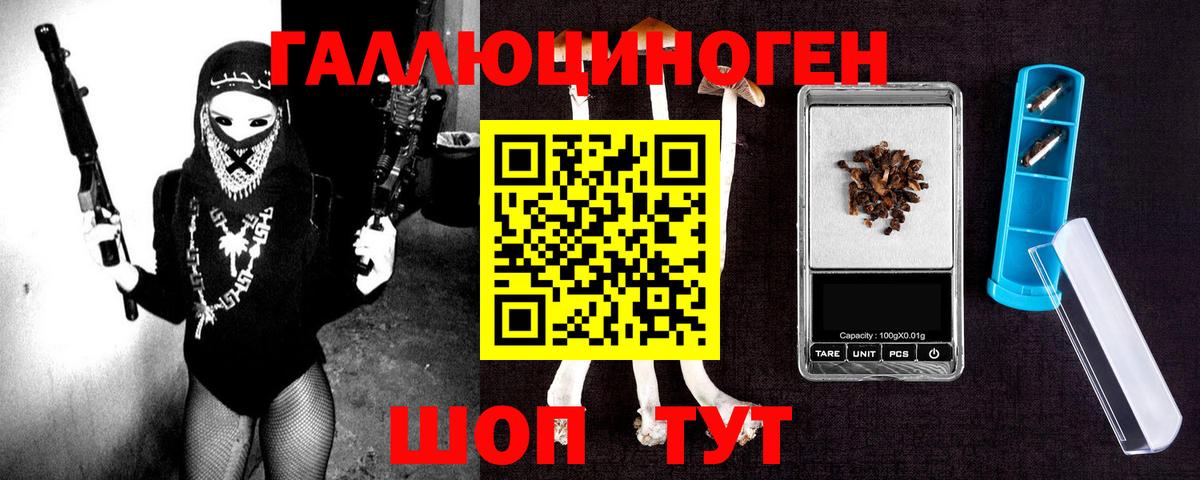 Новоалександровск  Псилоцибиновые грибы Psilocybine cubensis  Вход с VPN 