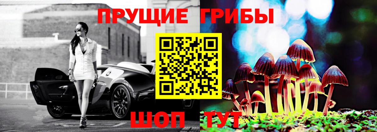 Галлюциногенные грибы мицелий Новоалександровск