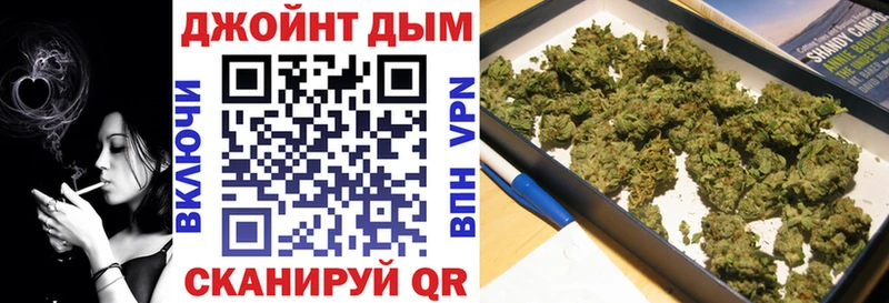 где продают наркотики  Новоалександровск  hydra ССЫЛКА  Бошки марихуана тримм 